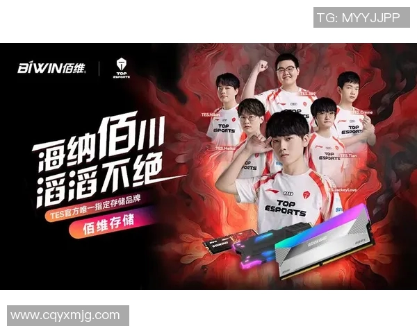 英雄联盟耐力排行榜揭晓TES战队荣登第三名引发热议