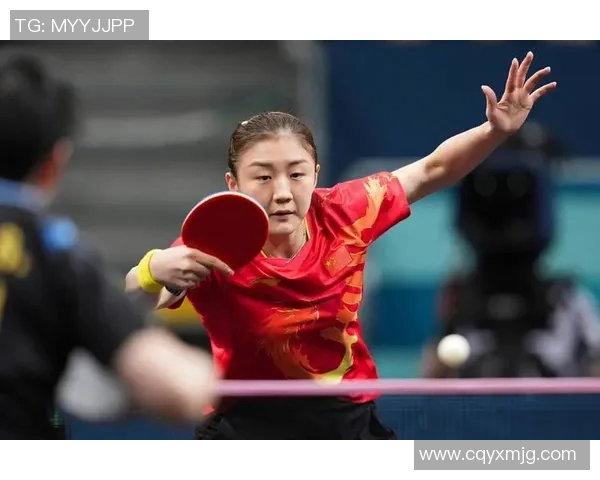 乒乓球的蜕变与重生:西安乒乓球队转型之路的真实记录与反思