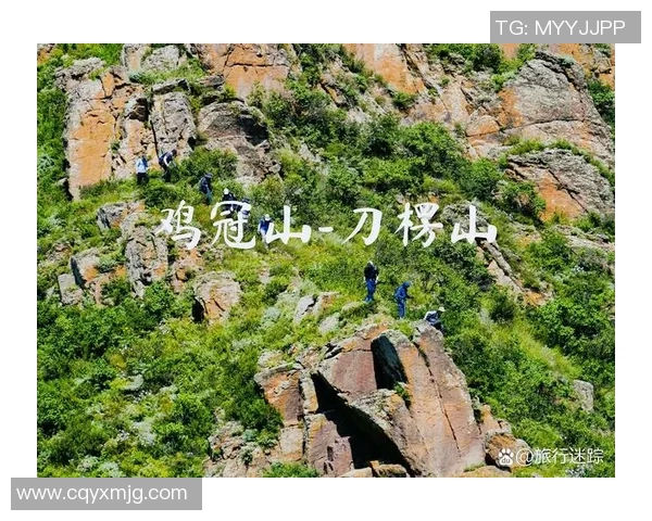 南京攀岩队引领最新攀岩技术十强榜单探秘