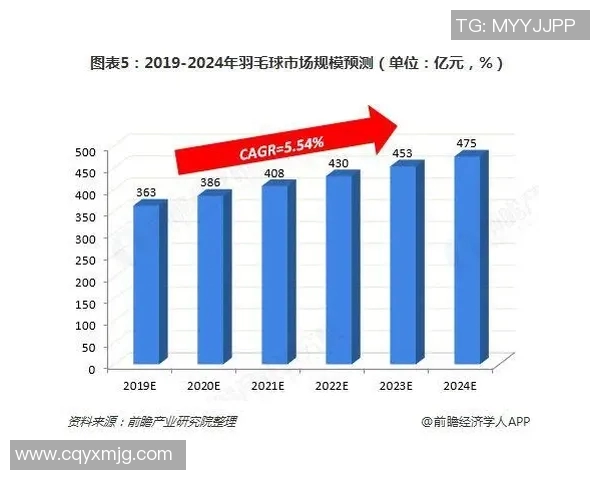 成都羽毛球队力量表现的数据分析与提升策略探讨